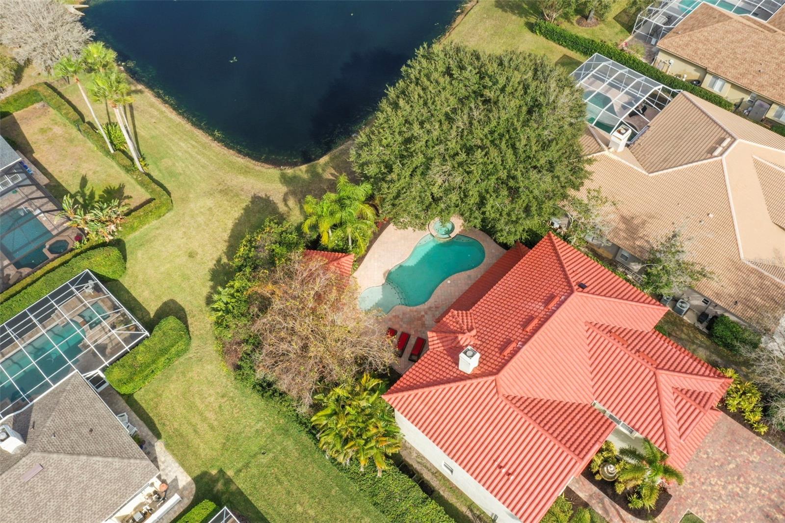 4165 MORENO DR, PALM HARBOR, FL — photo 86