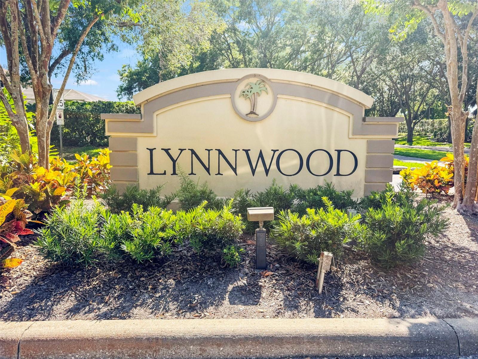 4165 MORENO DR, PALM HARBOR, FL — photo 89