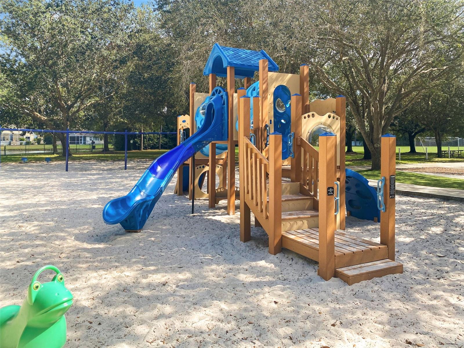 4165 MORENO DR, PALM HARBOR, FL — photo 91