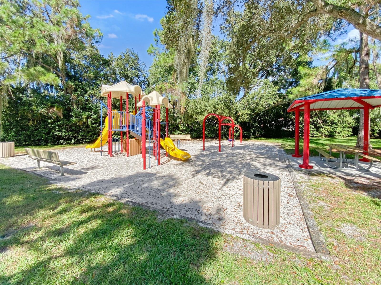 4165 MORENO DR, PALM HARBOR, FL — photo 92