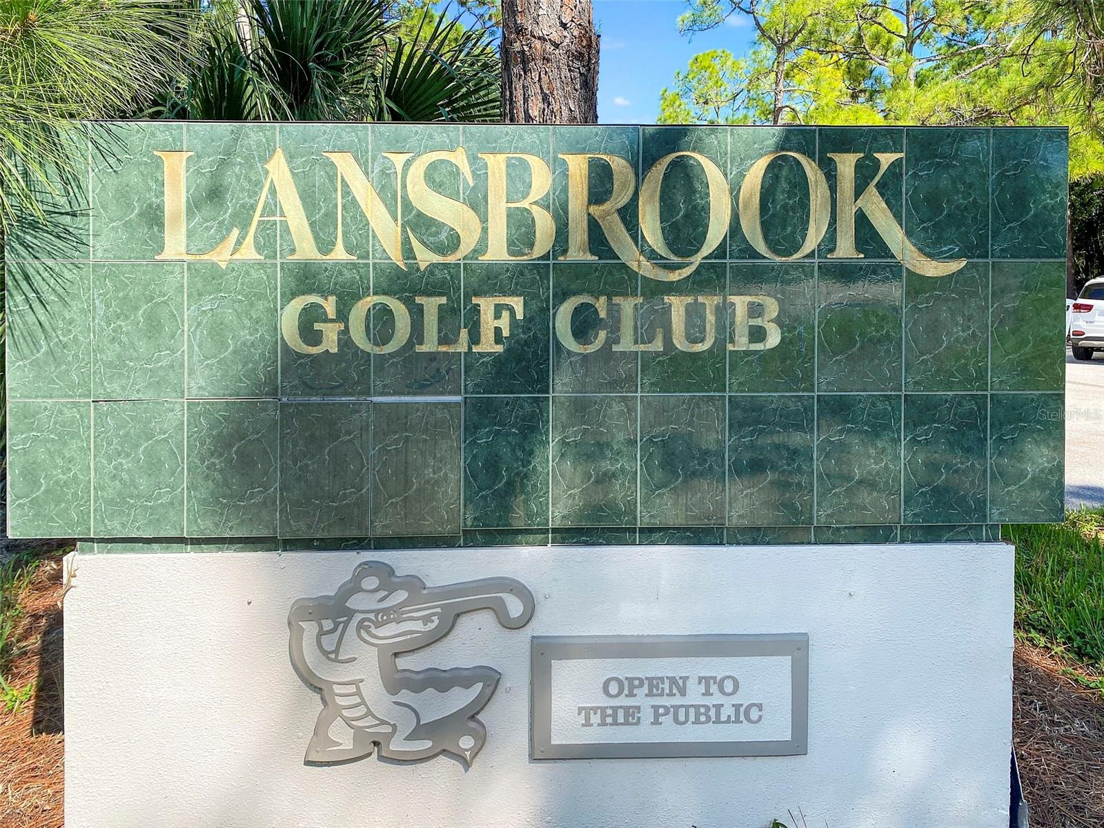 4165 MORENO DR, PALM HARBOR, FL — photo 95