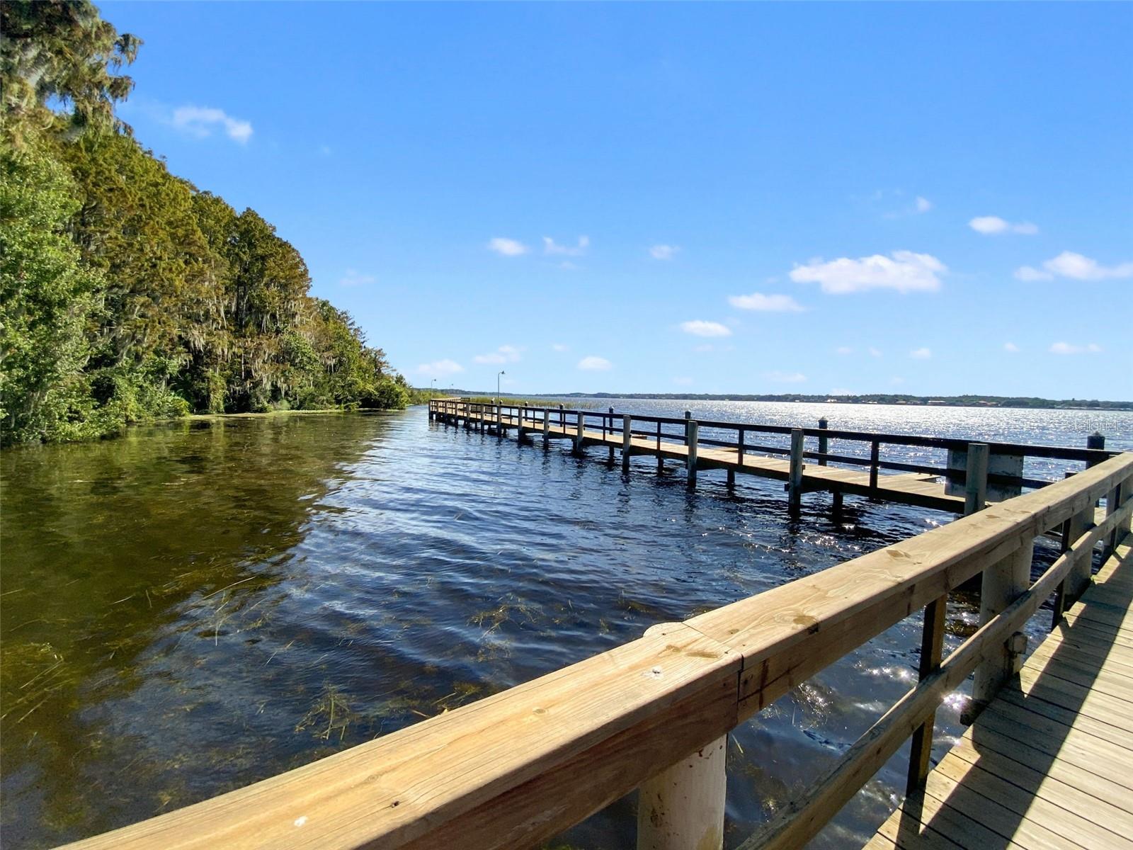 4165 MORENO DR, PALM HARBOR, FL — photo 96