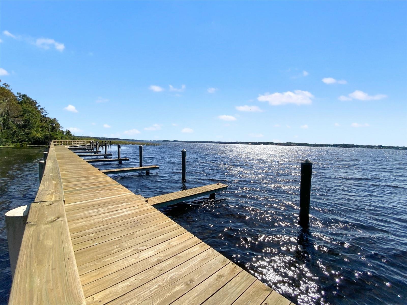 4165 MORENO DR, PALM HARBOR, FL — photo 97