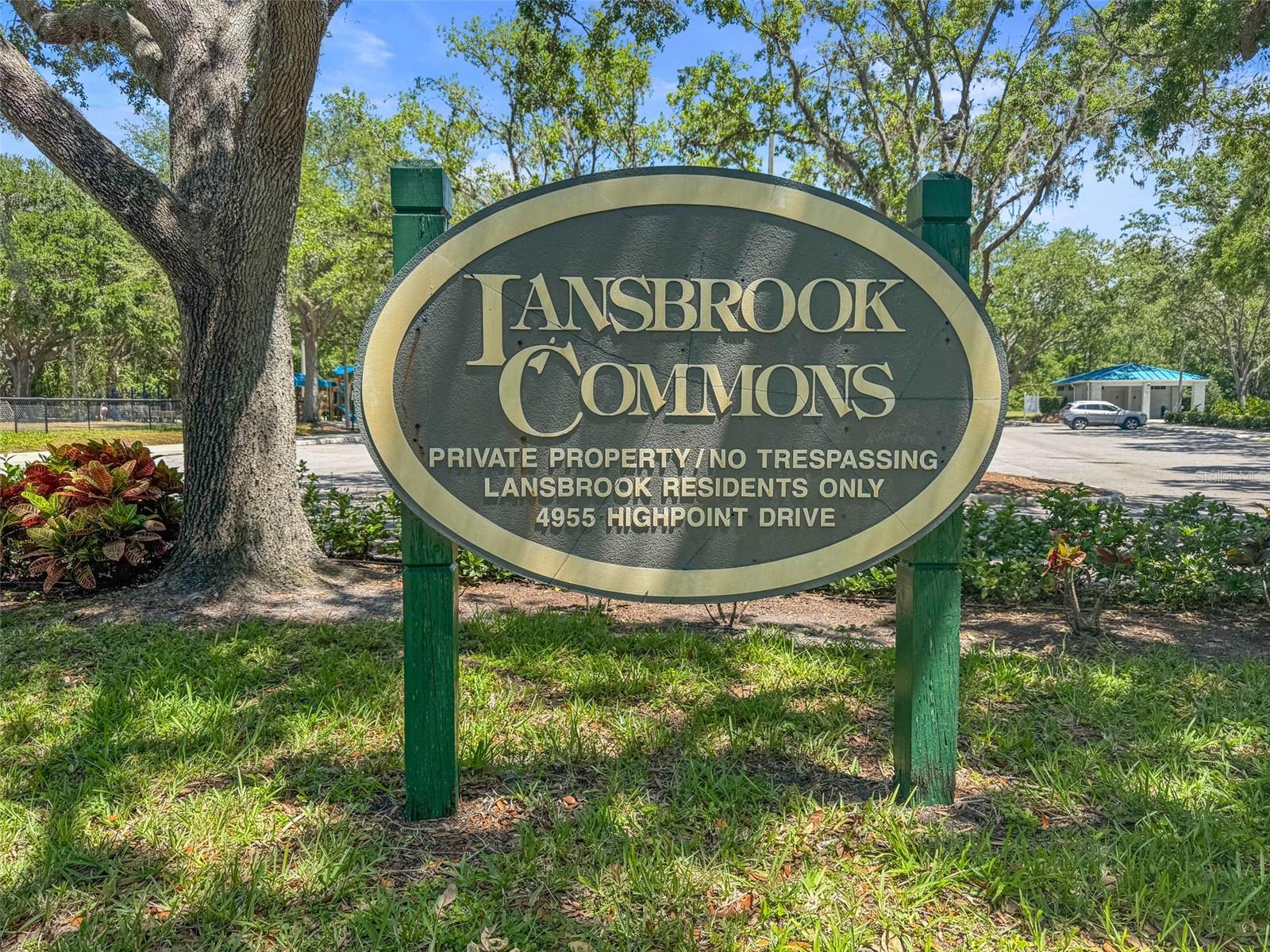 4165 MORENO DR, PALM HARBOR, FL — photo 98