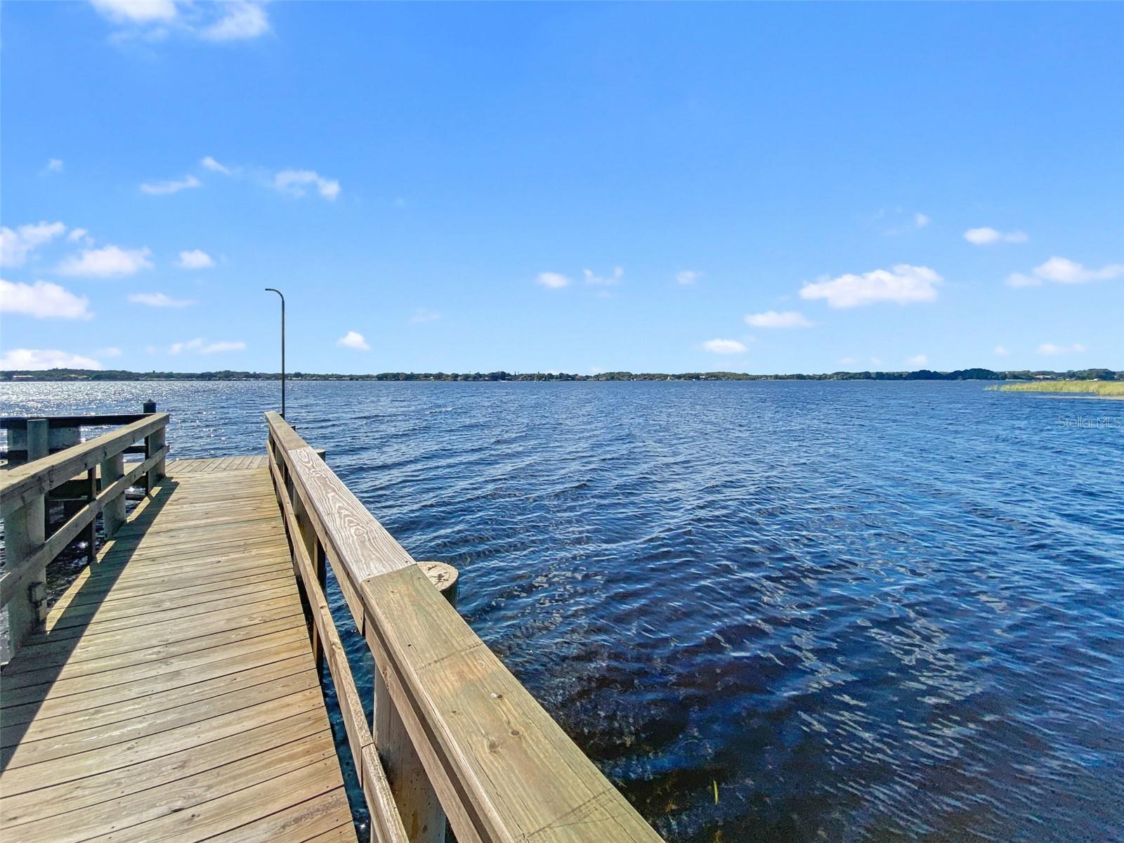 4165 MORENO DR, PALM HARBOR, FL — photo 99