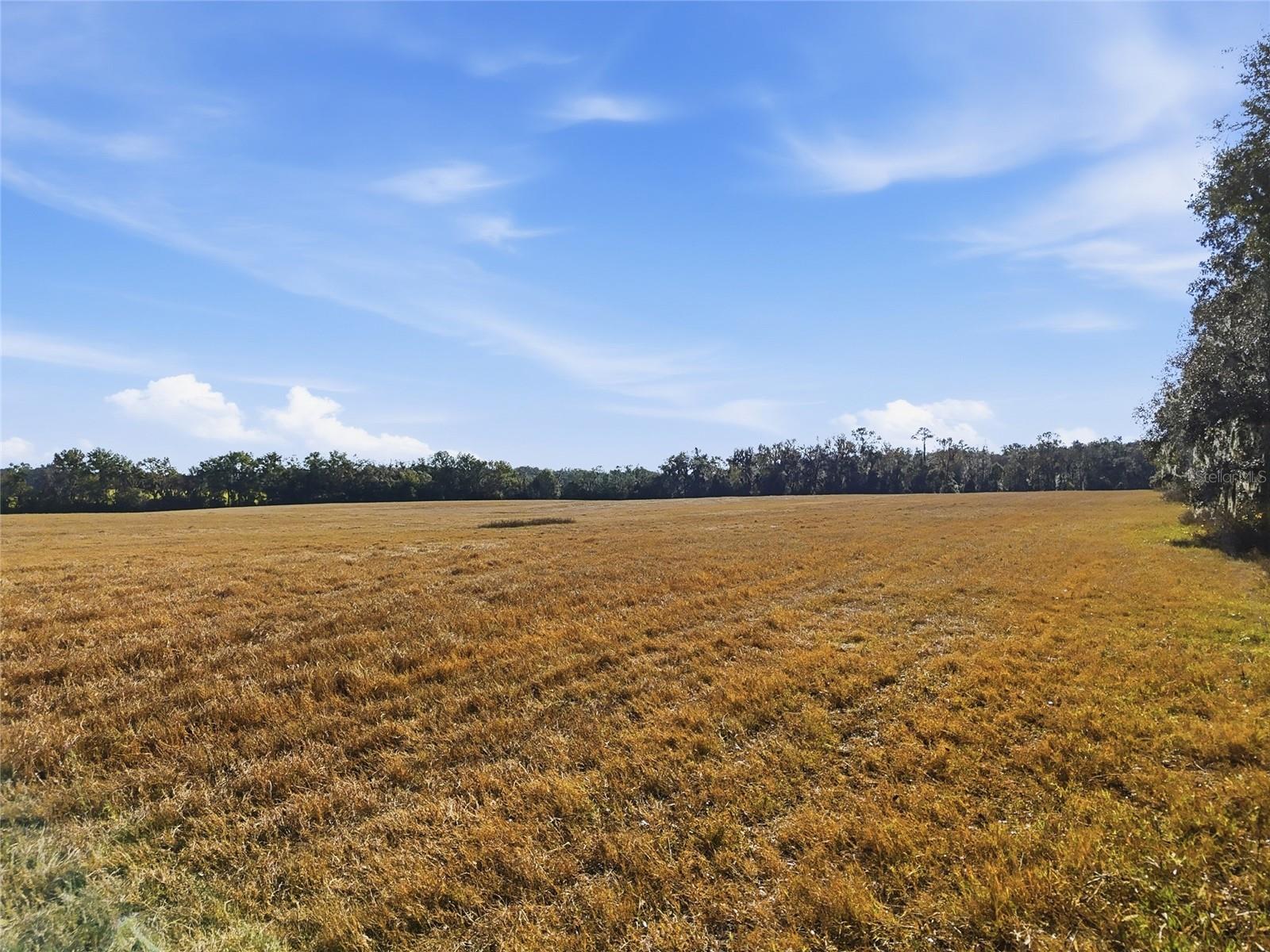 Hwy 236 NW 236, ALACHUA, FL — photo 6