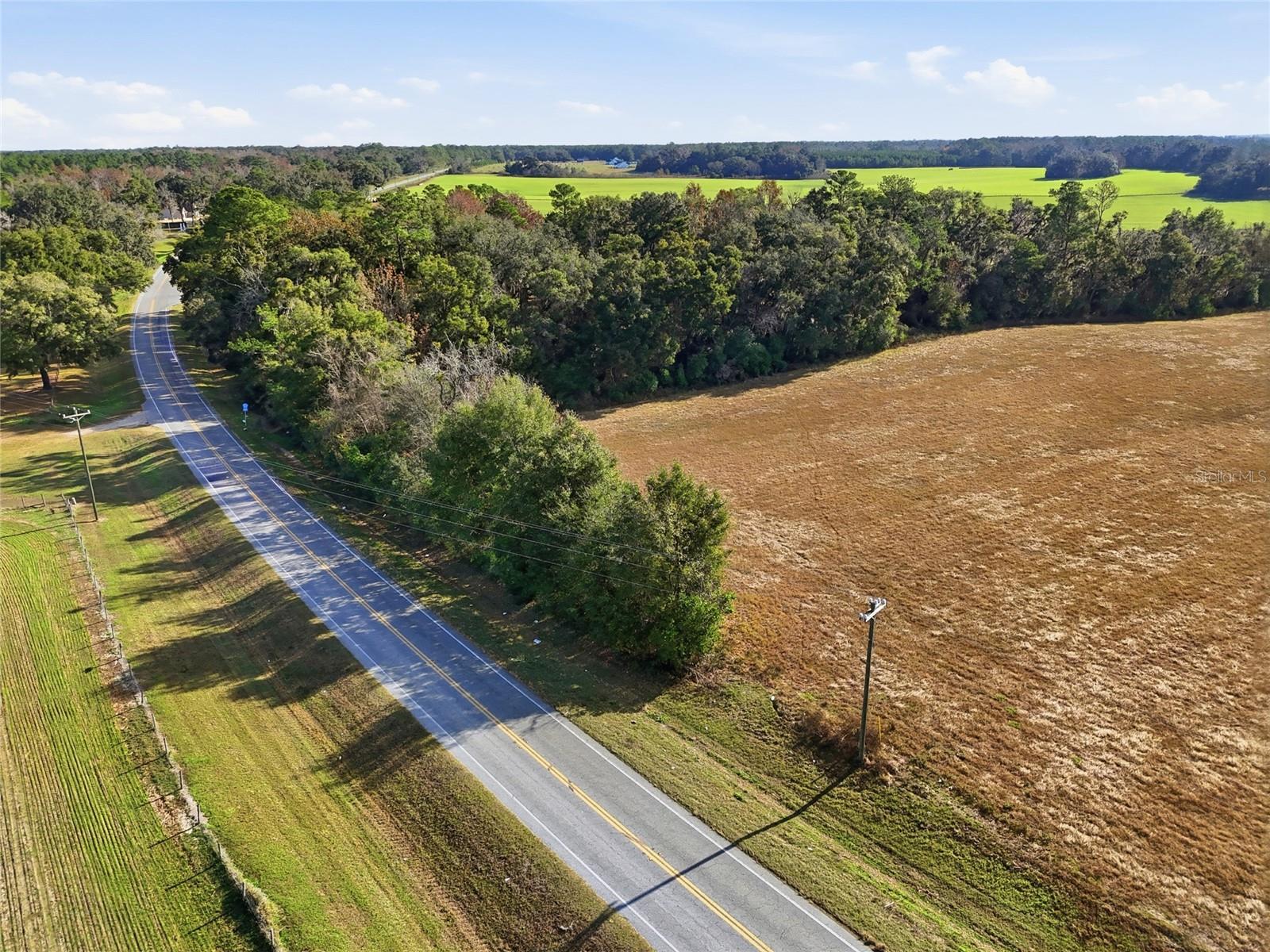 Hwy 236 NW 236, ALACHUA, FL — photo 7