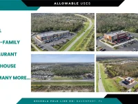 OSCEOLA POLK LINE RD — photo 11