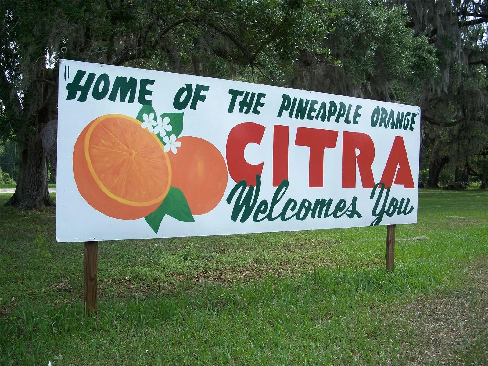 0000 NE 164TH PL E, CITRA, FL — photo 3