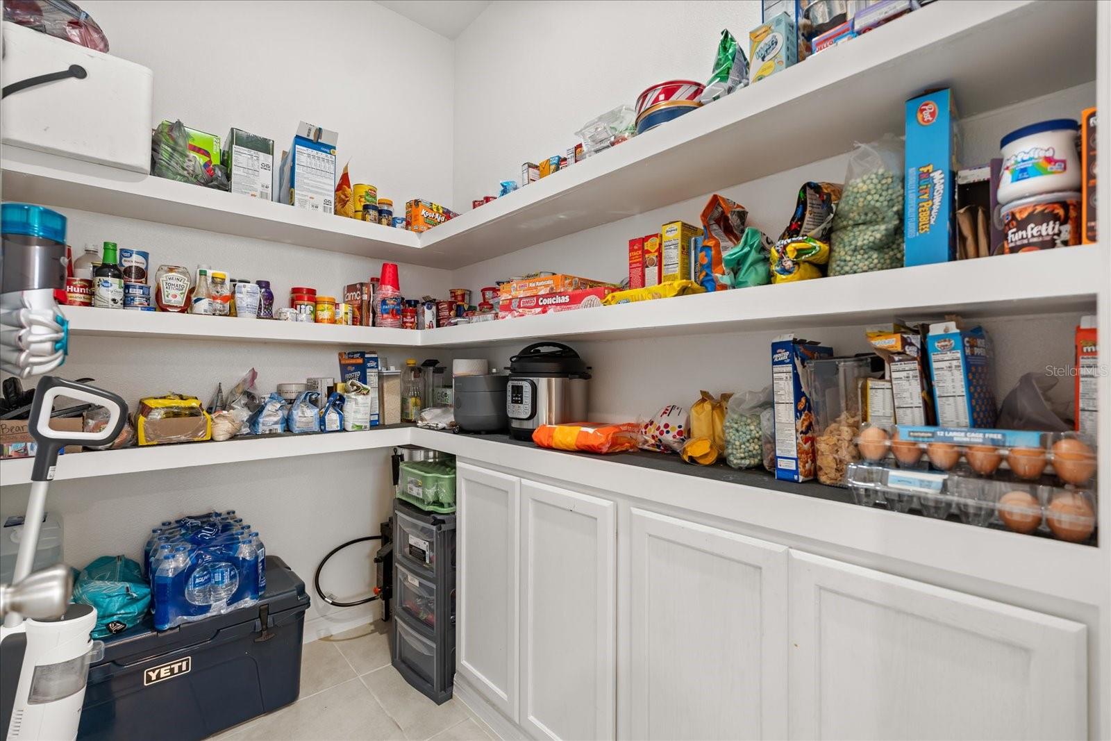 1470 GERANIUM DR, MASCOTTE, FL — photo 11