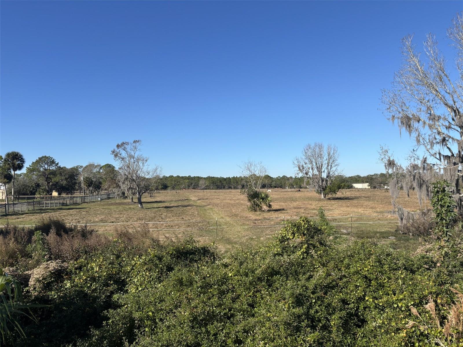 TOMOKA FARMS RD, PORT ORANGE, FL