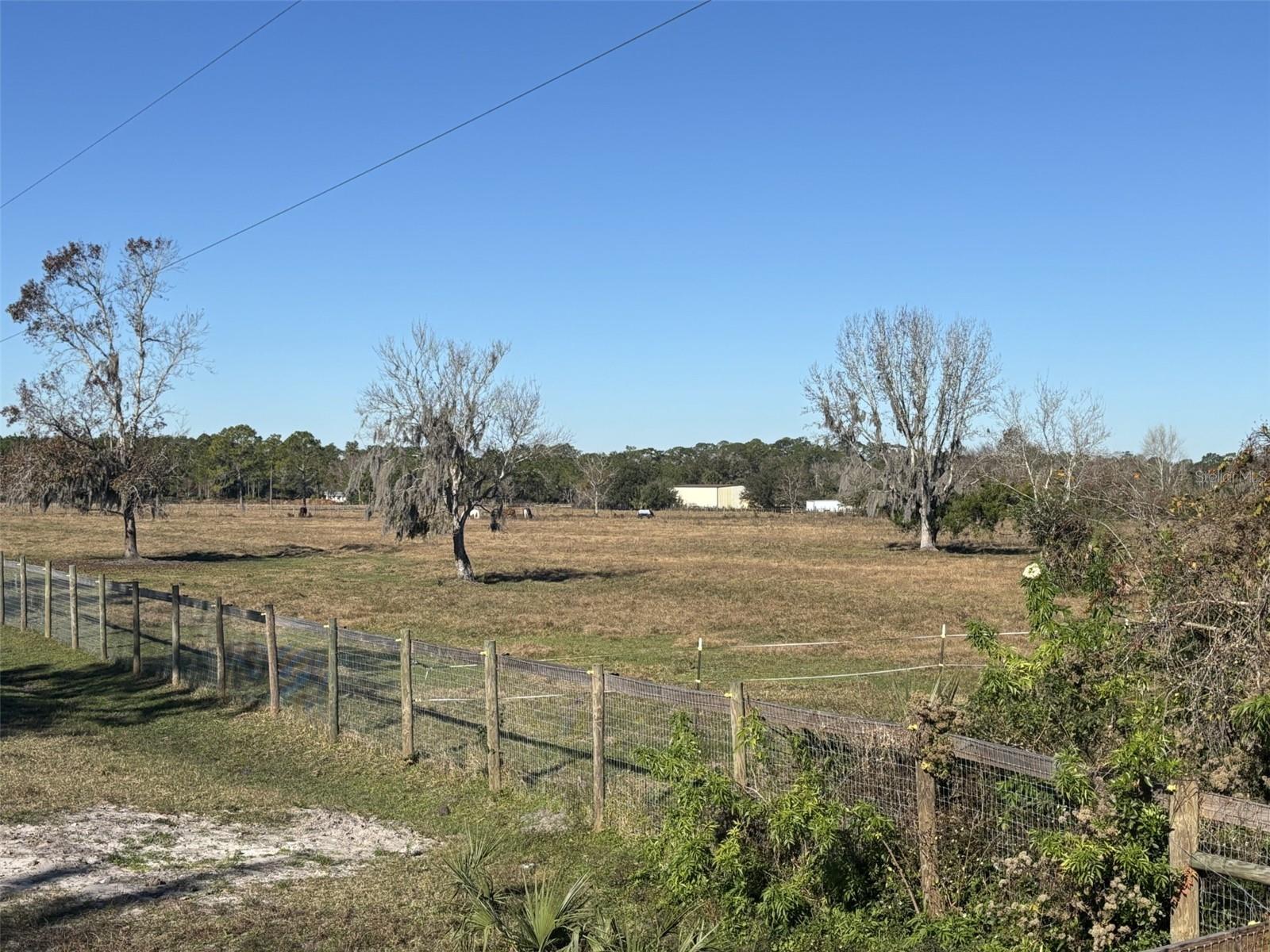TOMOKA FARMS RD, PORT ORANGE, FL — photo 2