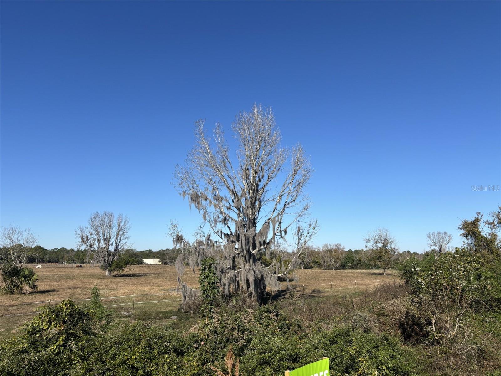 TOMOKA FARMS RD, PORT ORANGE, FL — photo 4