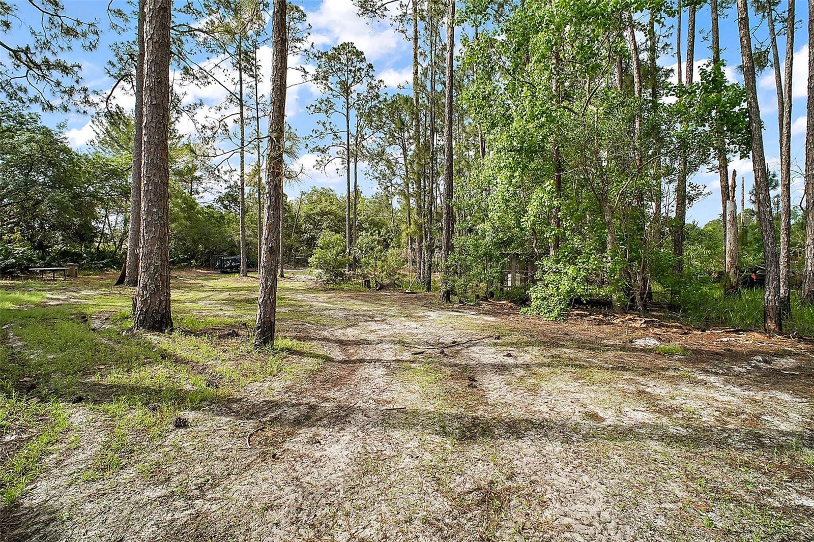 41513 ASPEN ST, EUSTIS, FL — photo 58