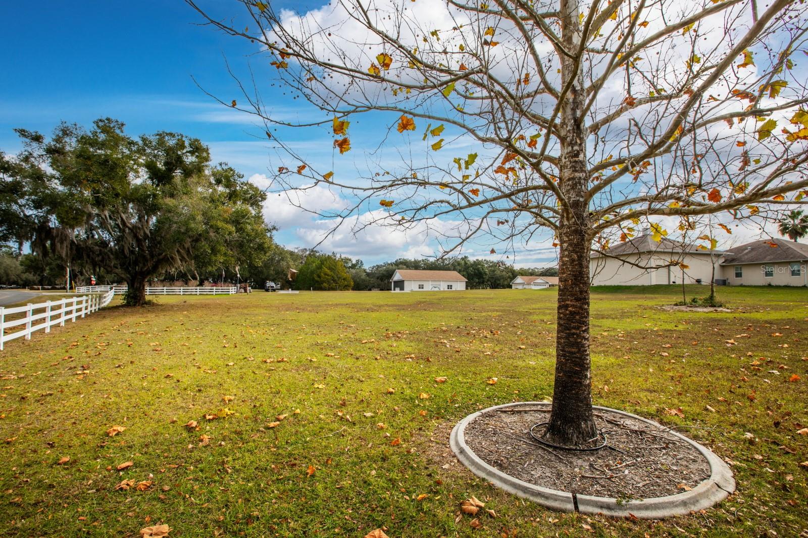 17520 SE 159TH TER, WEIRSDALE, FL — photo 9