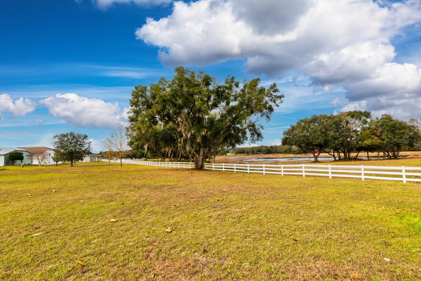 17520 SE 159TH TER, WEIRSDALE, FL — photo 13