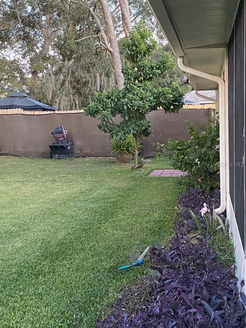 8437 GIBRALTER ST, SPRING HILL, FL — photo 28