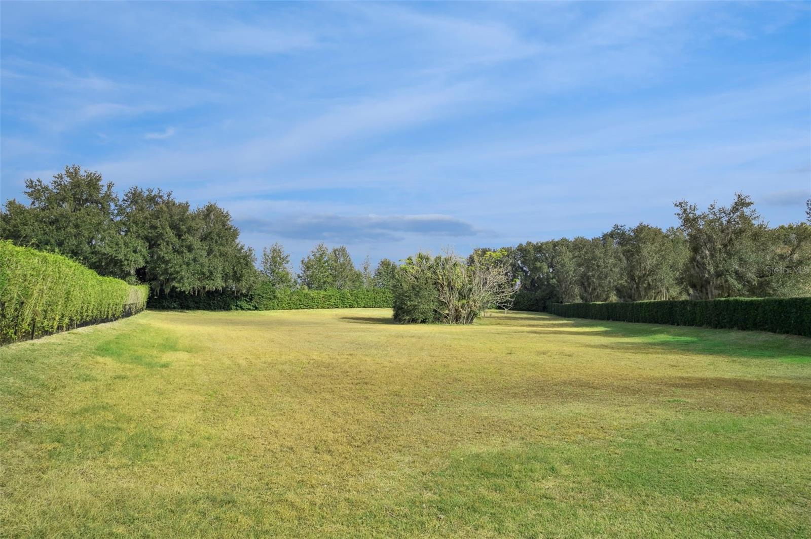 26027 ESTATES RIDGE DR, SORRENTO, FL — photo 5