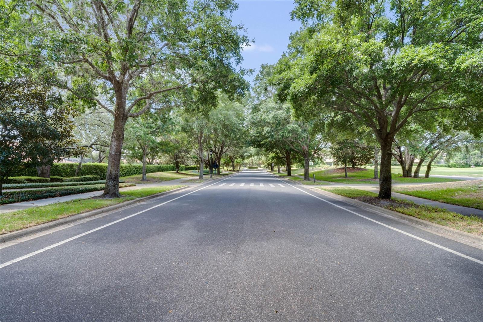 26027 ESTATES RIDGE DR, SORRENTO, FL — photo 25