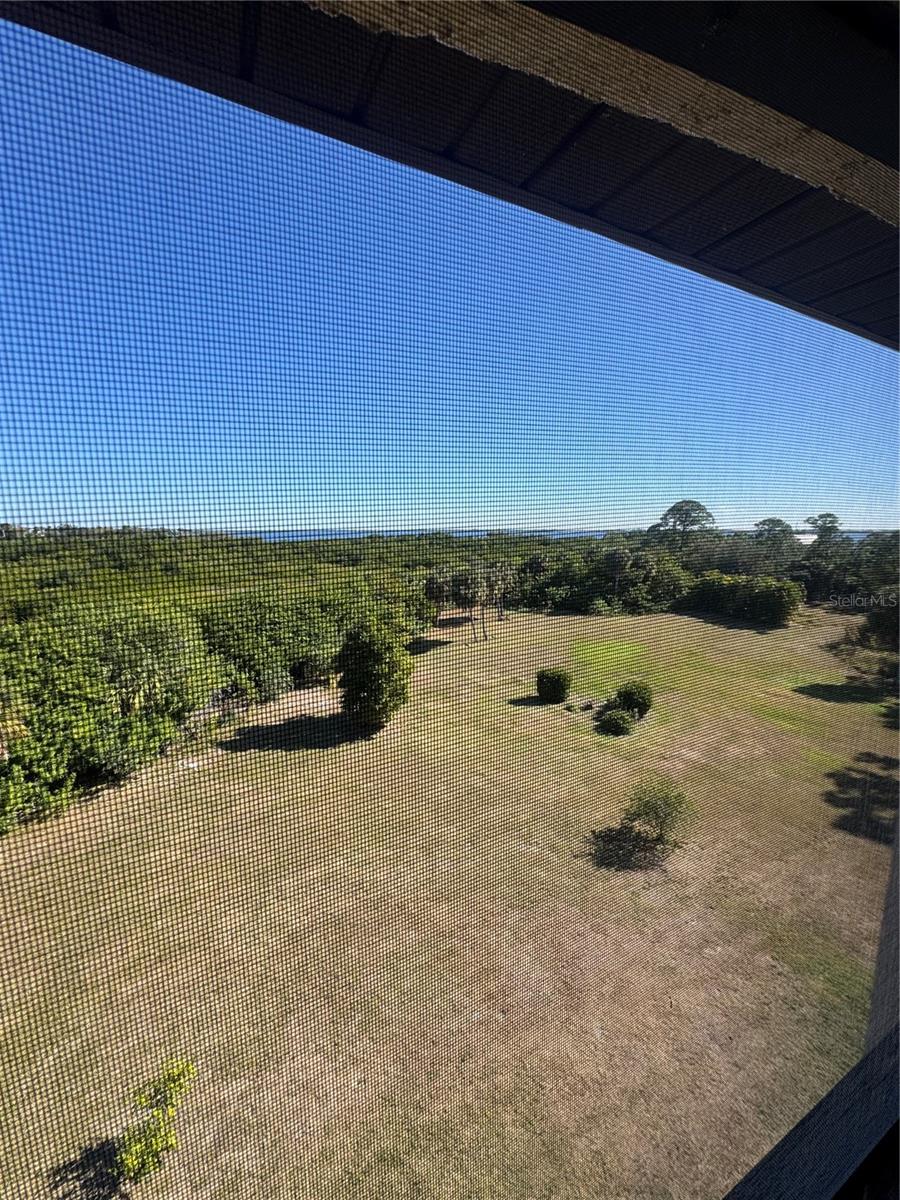 23465 HARBORVIEW RD #244, PUNTA GORDA, FL — photo 69