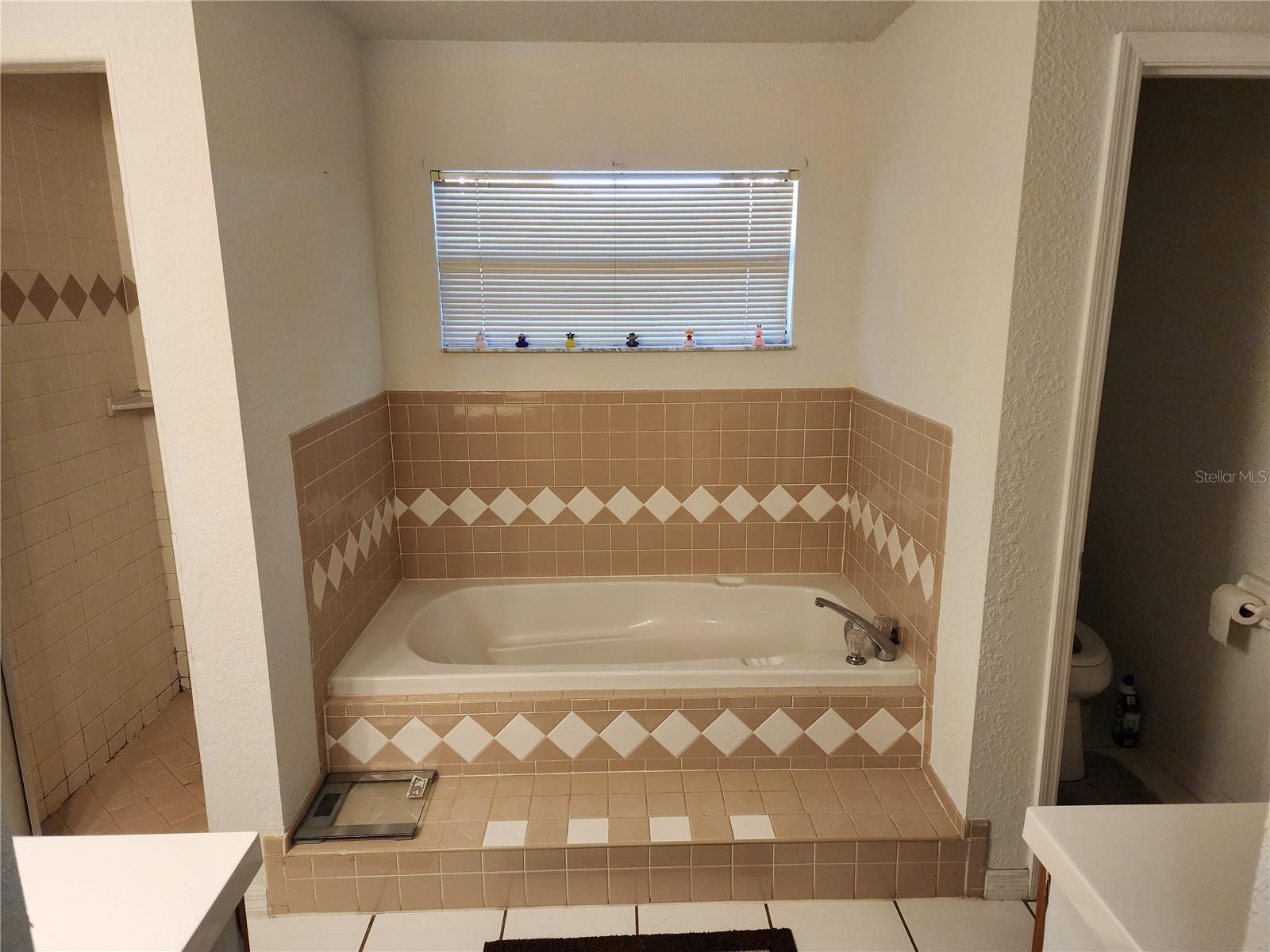 11759 OSWALT RD, CLERMONT, FL — photo 26