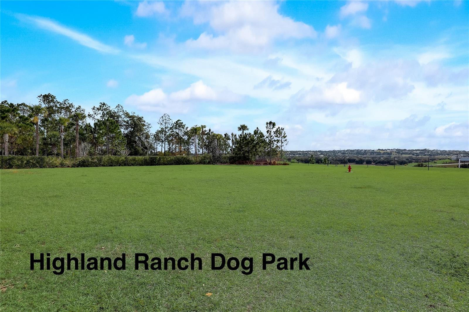 1025 SADIE RIDGE RD, CLERMONT, FL — photo 69