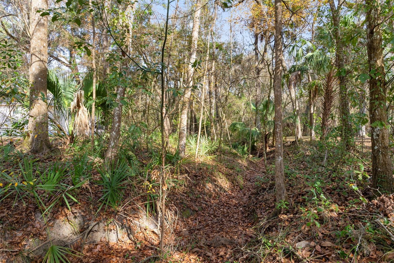 5248 NEFF LAKE RD, BROOKSVILLE, FL — photo 88
