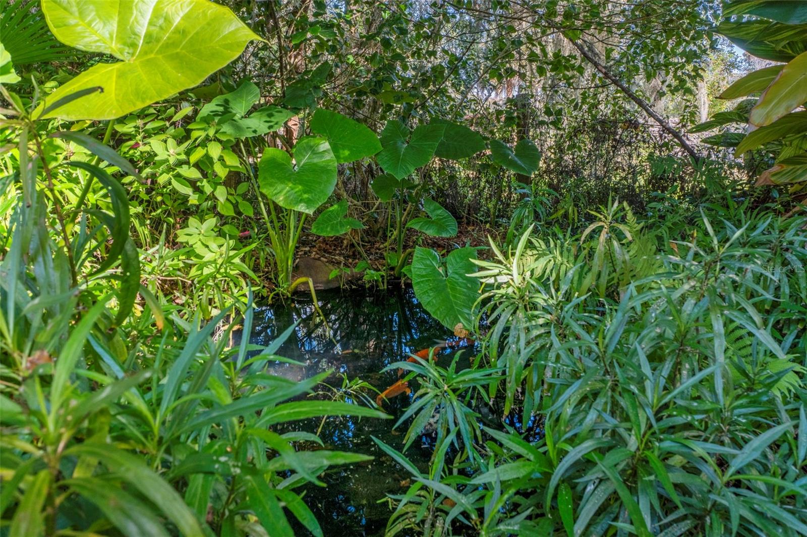 27910 DEBBIE RD, OKAHUMPKA, FL — photo 105