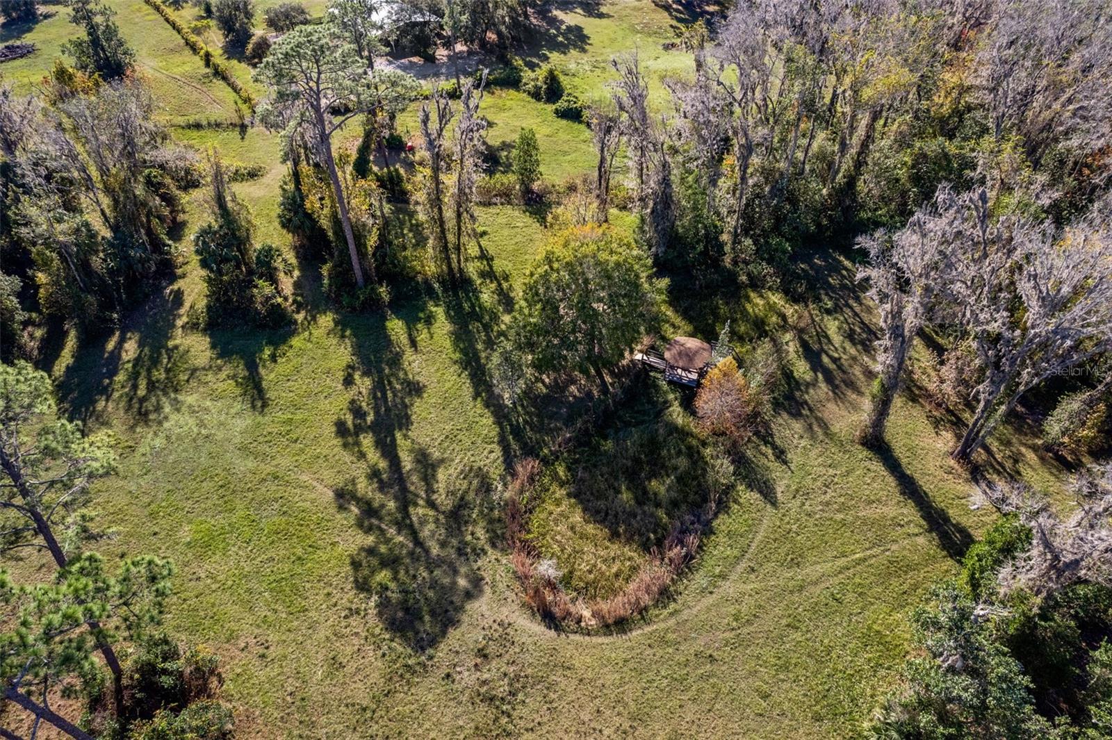 27910 DEBBIE RD, OKAHUMPKA, FL — photo 165