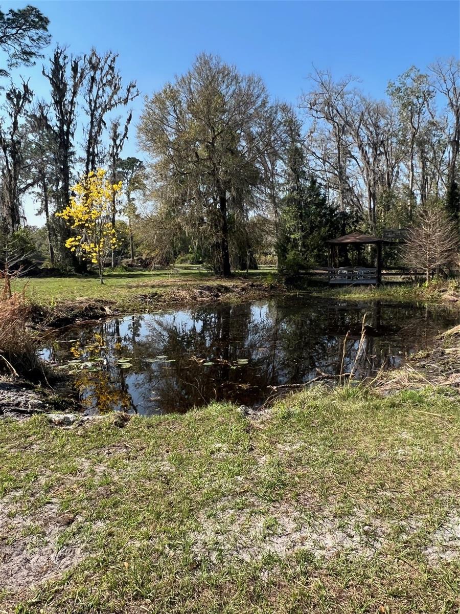 27910 DEBBIE RD, OKAHUMPKA, FL — photo 167