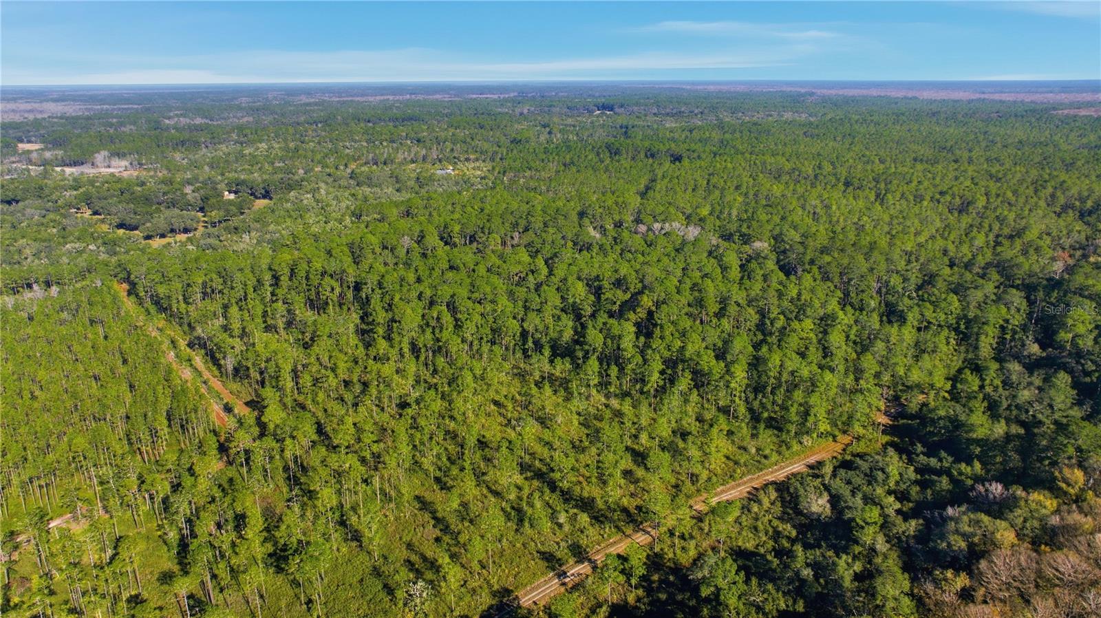 TBD (Lot 5) NE 115TH LANE RD, FORT MC COY, FL — photo 7