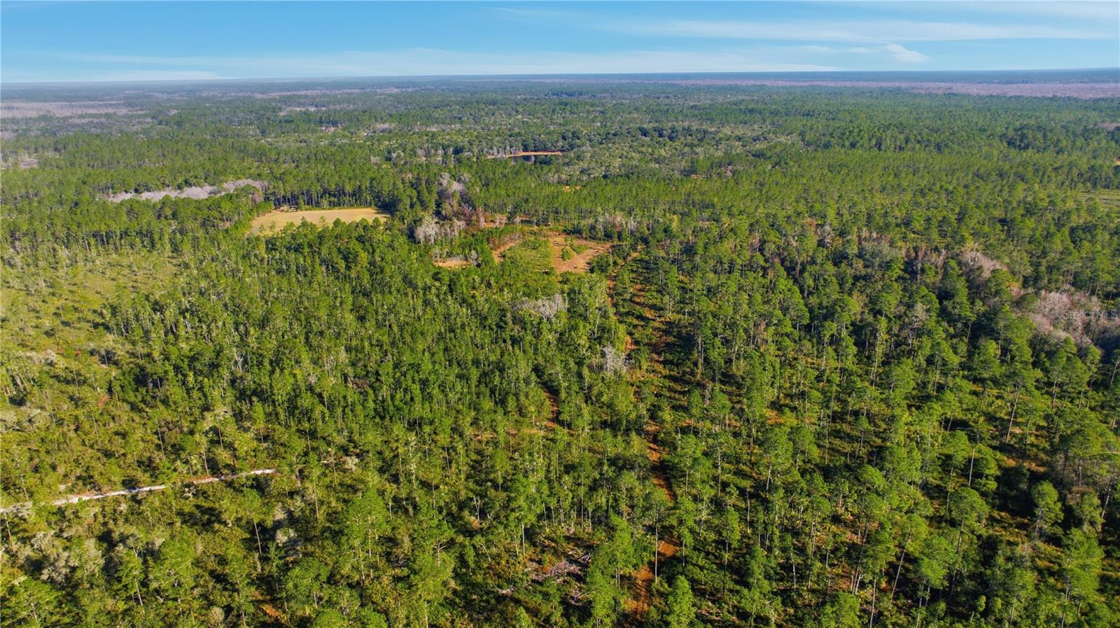 TBD (Lot 5) NE 115TH LANE RD, FORT MC COY, FL — photo 8
