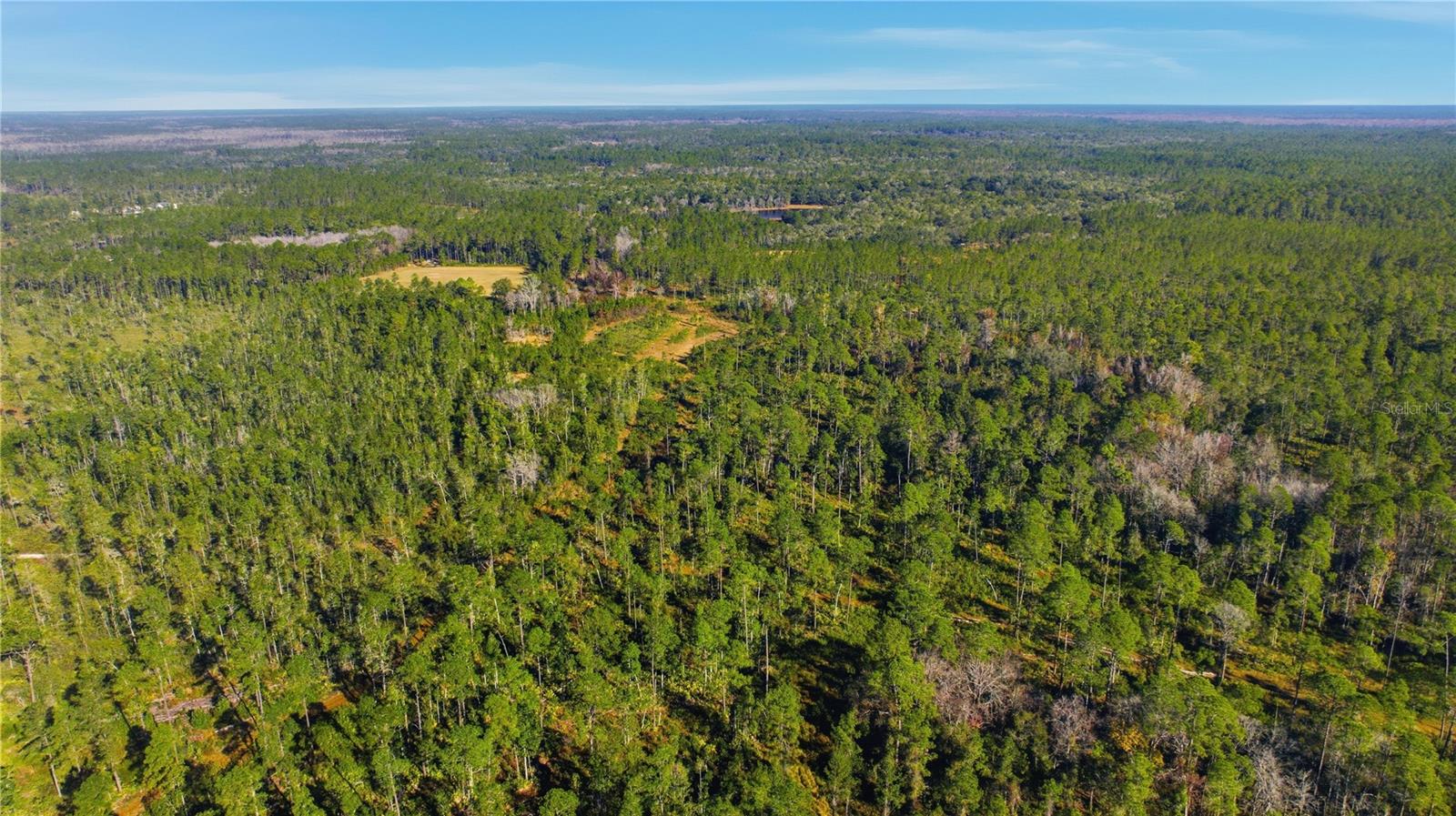 TBD (Lot 5) NE 115TH LANE RD, FORT MC COY, FL — photo 9