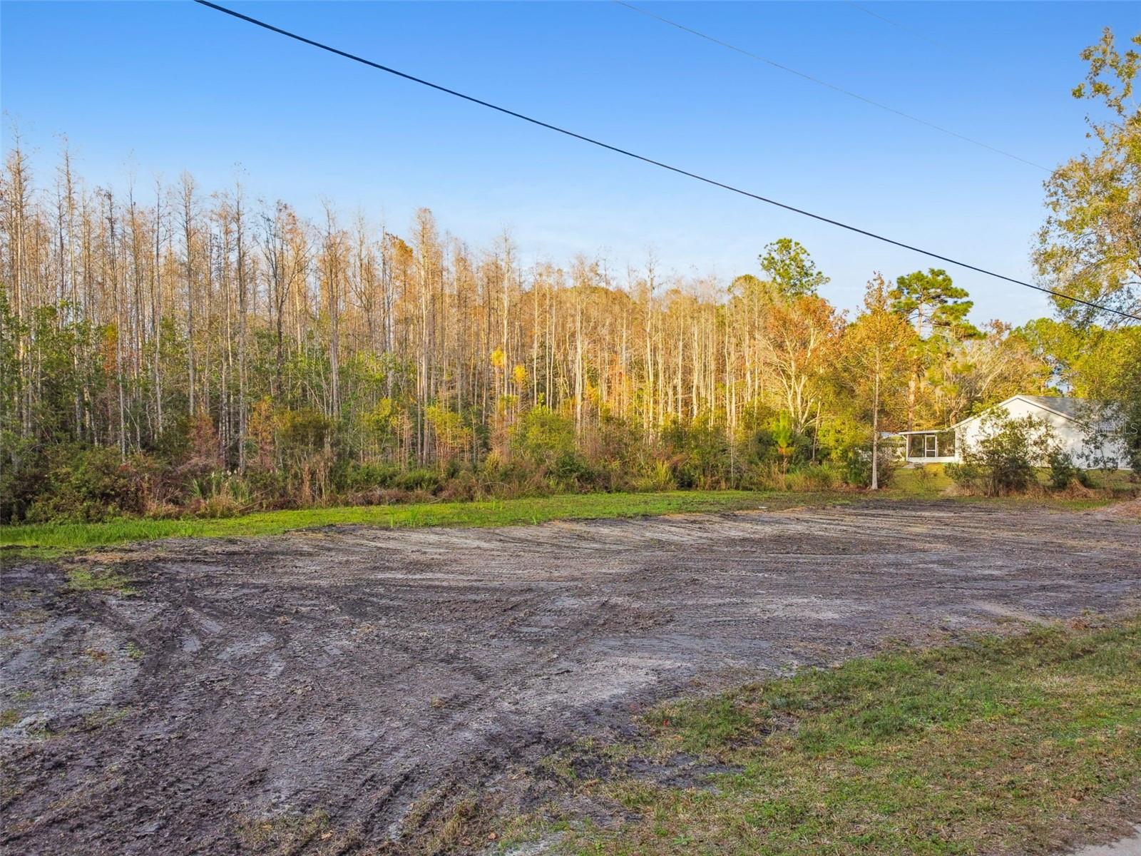 26305 BLUESTRIPE DR, WESLEY CHAPEL, FL — photo 2