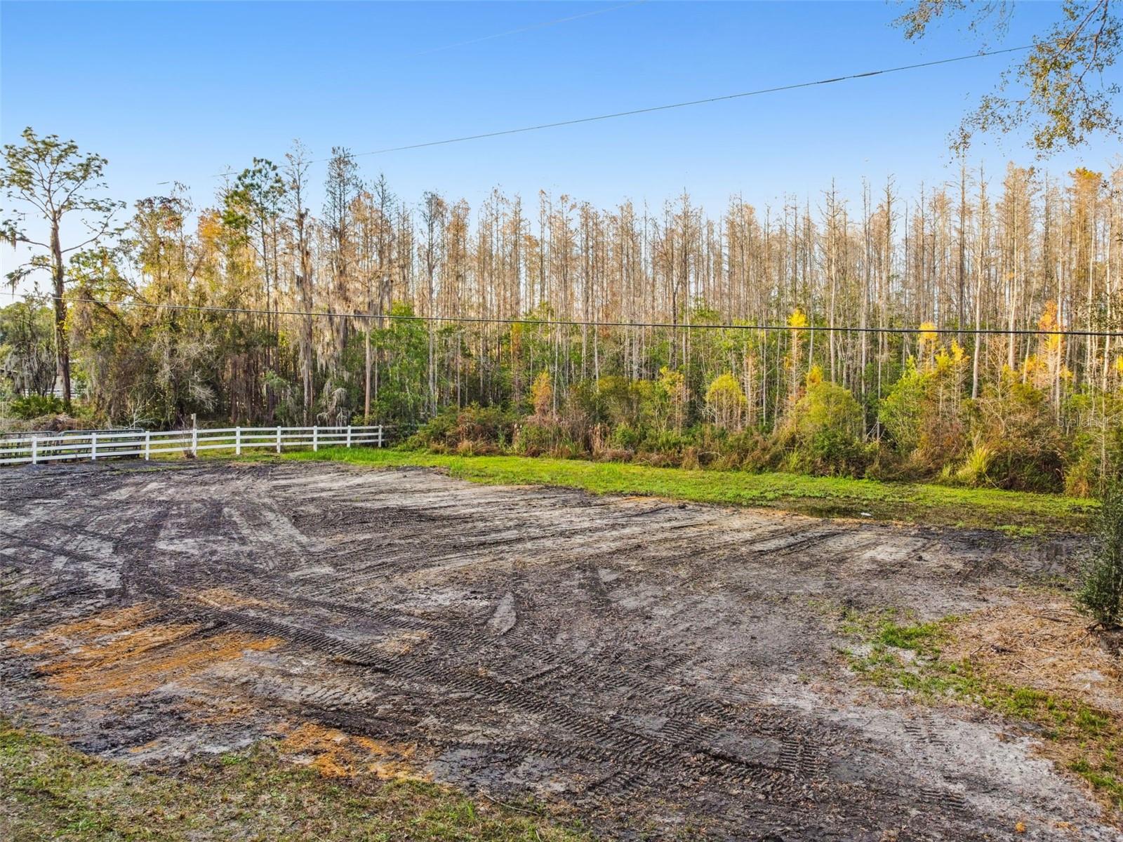 26305 BLUESTRIPE DR, WESLEY CHAPEL, FL — photo 3