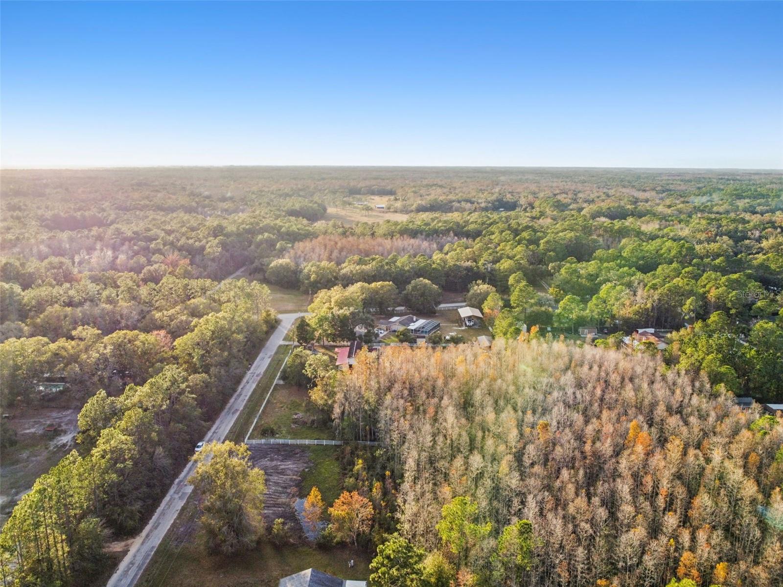 26305 BLUESTRIPE DR, WESLEY CHAPEL, FL — photo 5