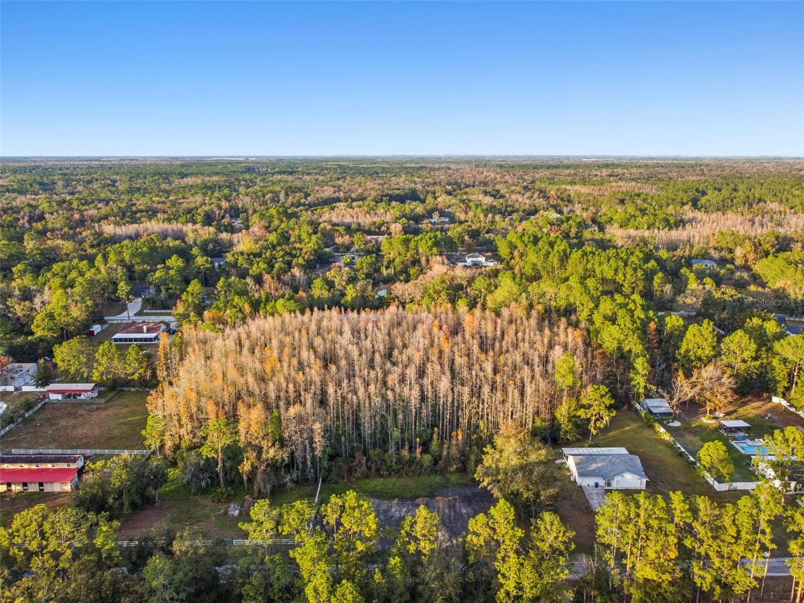26305 BLUESTRIPE DR, WESLEY CHAPEL, FL — photo 10