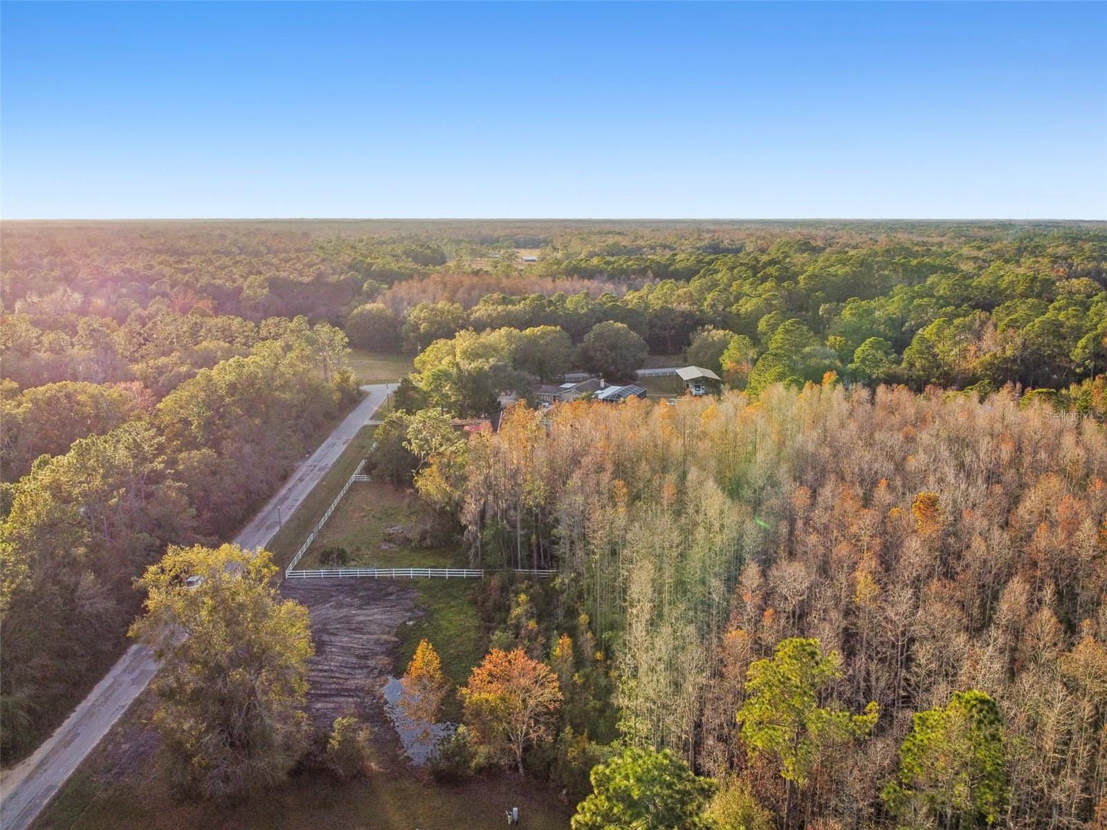 26305 BLUESTRIPE DR, WESLEY CHAPEL, FL — photo 13