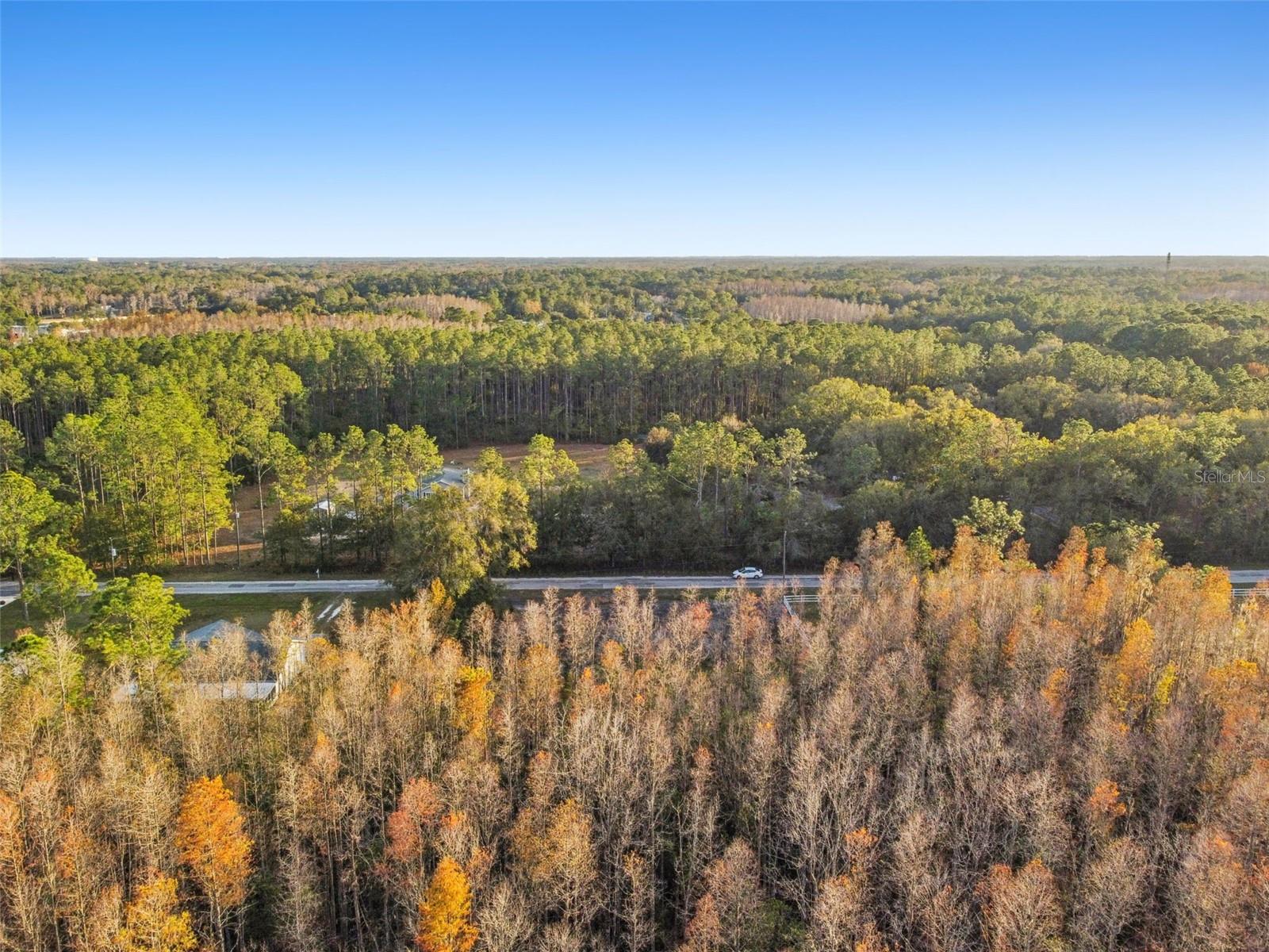 26305 BLUESTRIPE DR, WESLEY CHAPEL, FL — photo 14
