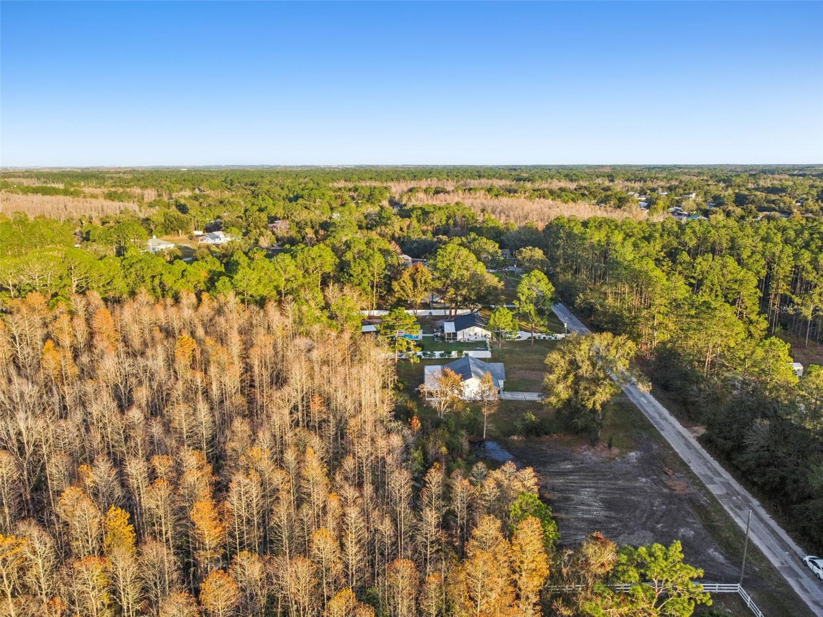 26305 BLUESTRIPE DR, WESLEY CHAPEL, FL — photo 16