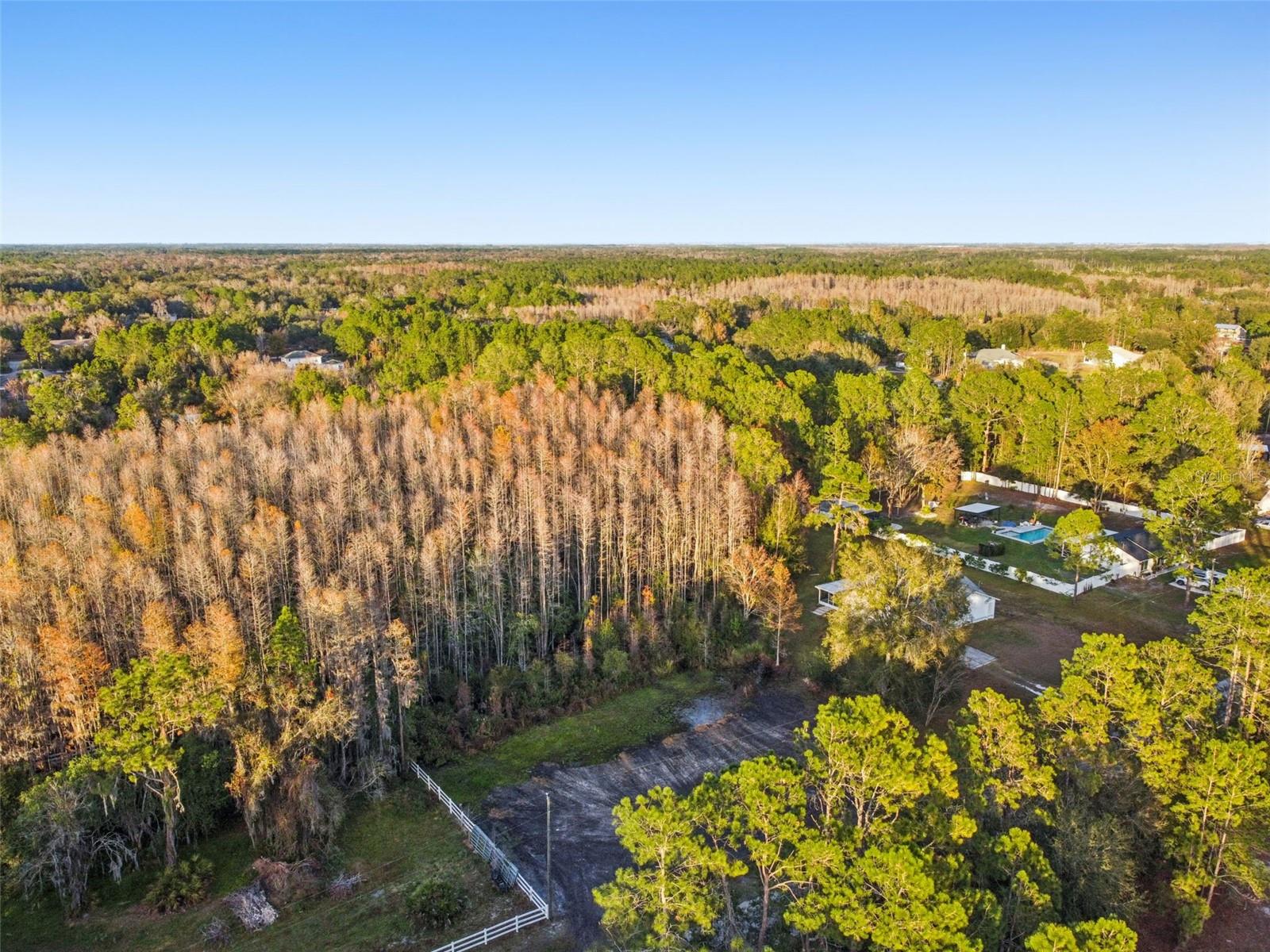 26305 BLUESTRIPE DR, WESLEY CHAPEL, FL — photo 17