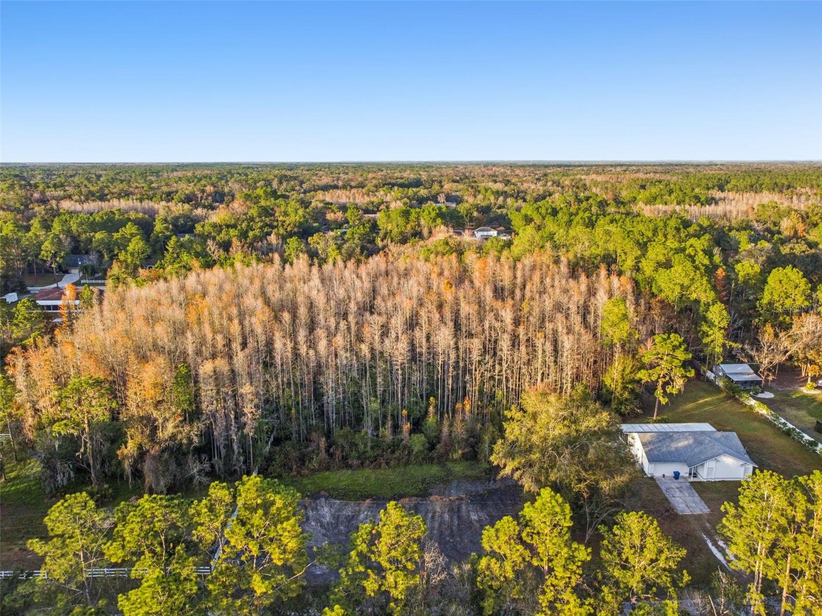 26305 BLUESTRIPE DR, WESLEY CHAPEL, FL — photo 18