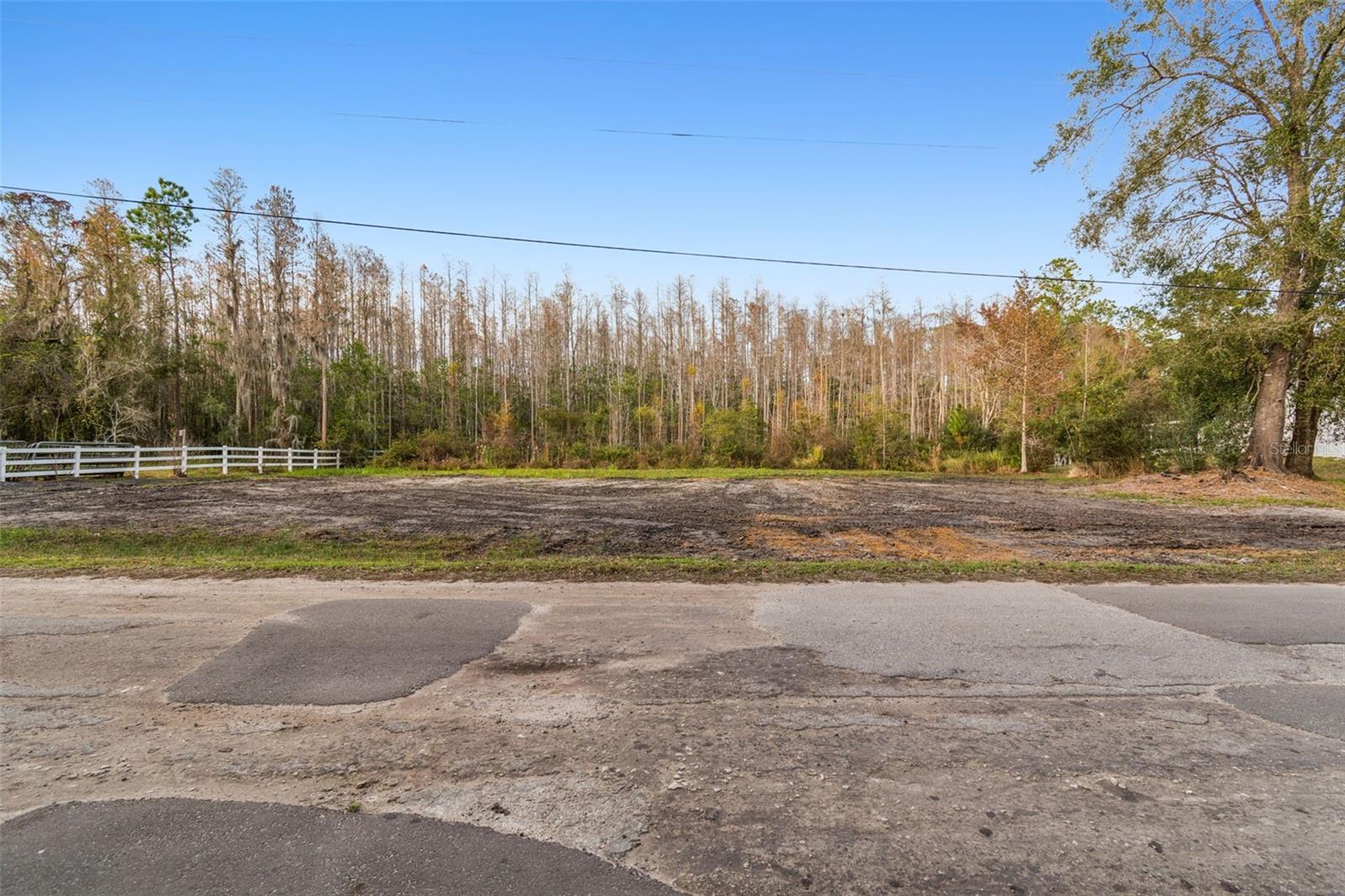 26305 BLUESTRIPE DR, WESLEY CHAPEL, FL — photo 21