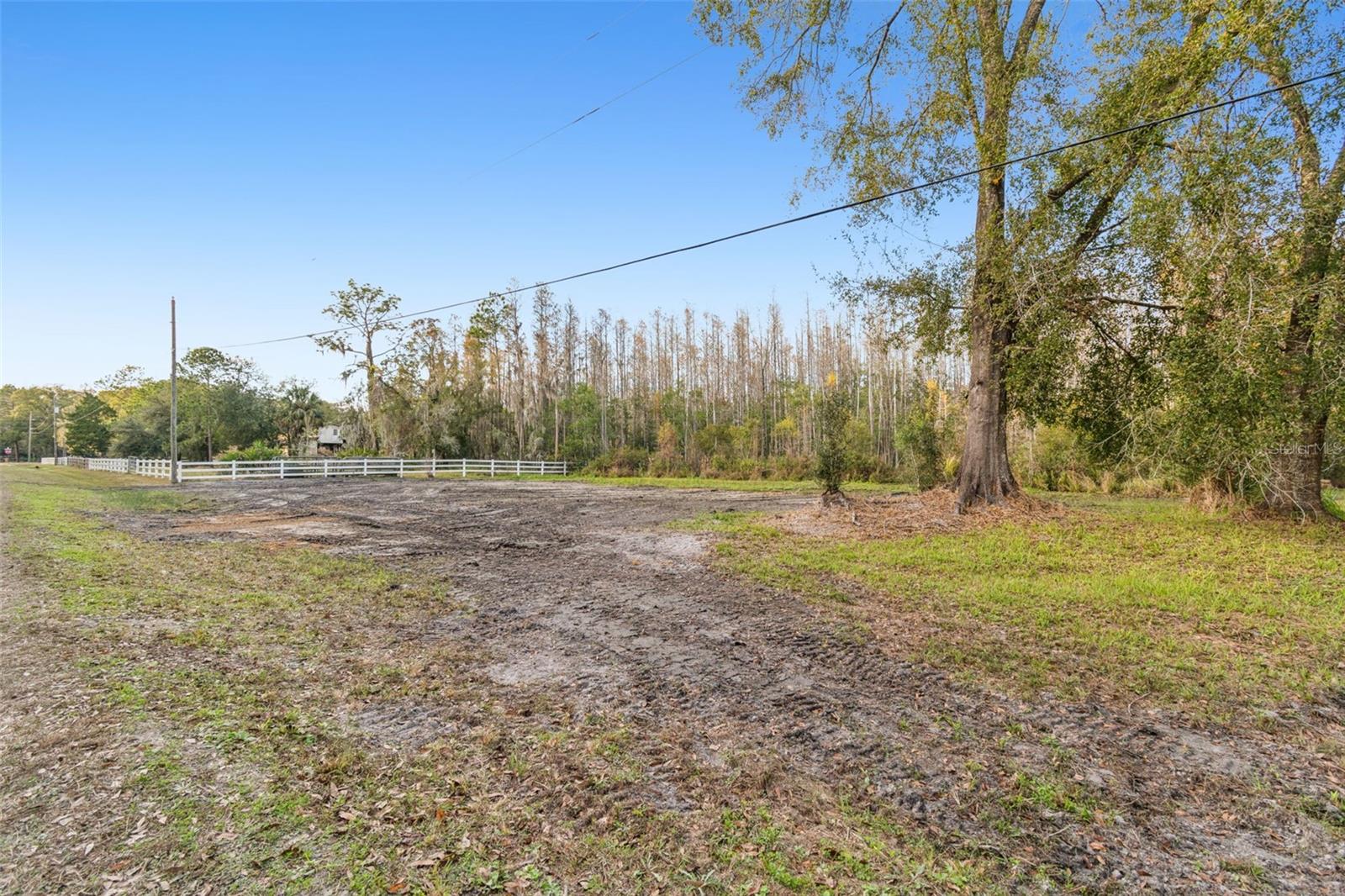 26305 BLUESTRIPE DR, WESLEY CHAPEL, FL — photo 22