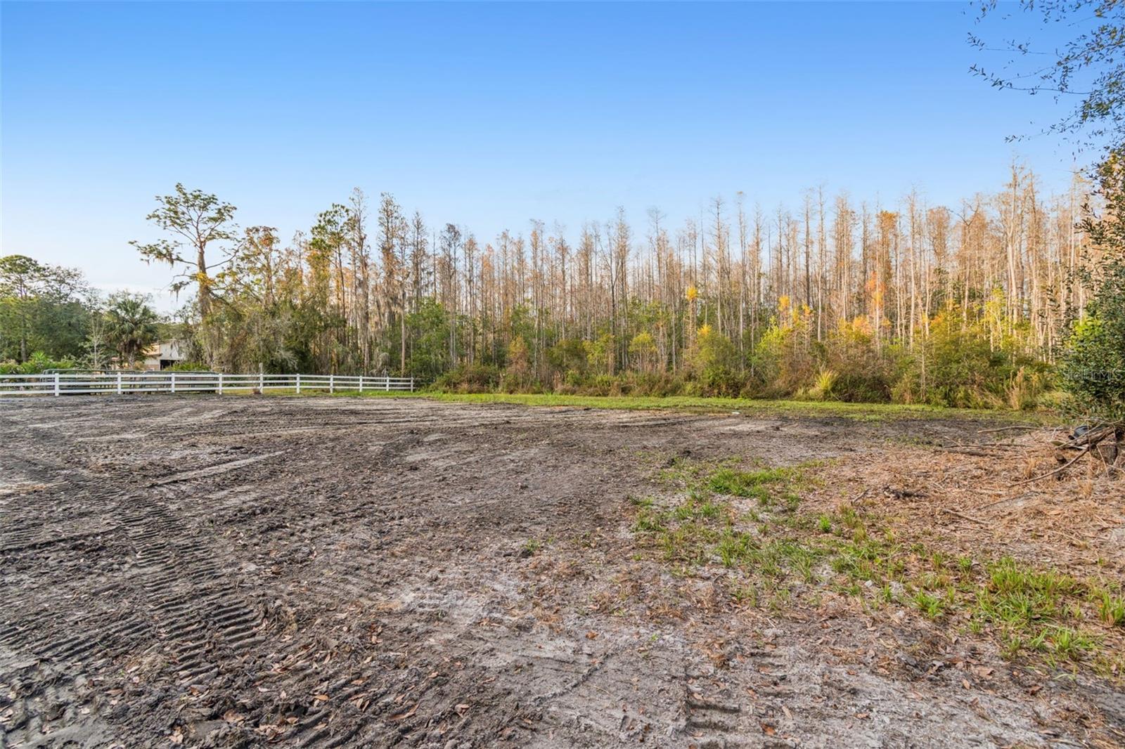 26305 BLUESTRIPE DR, WESLEY CHAPEL, FL — photo 23