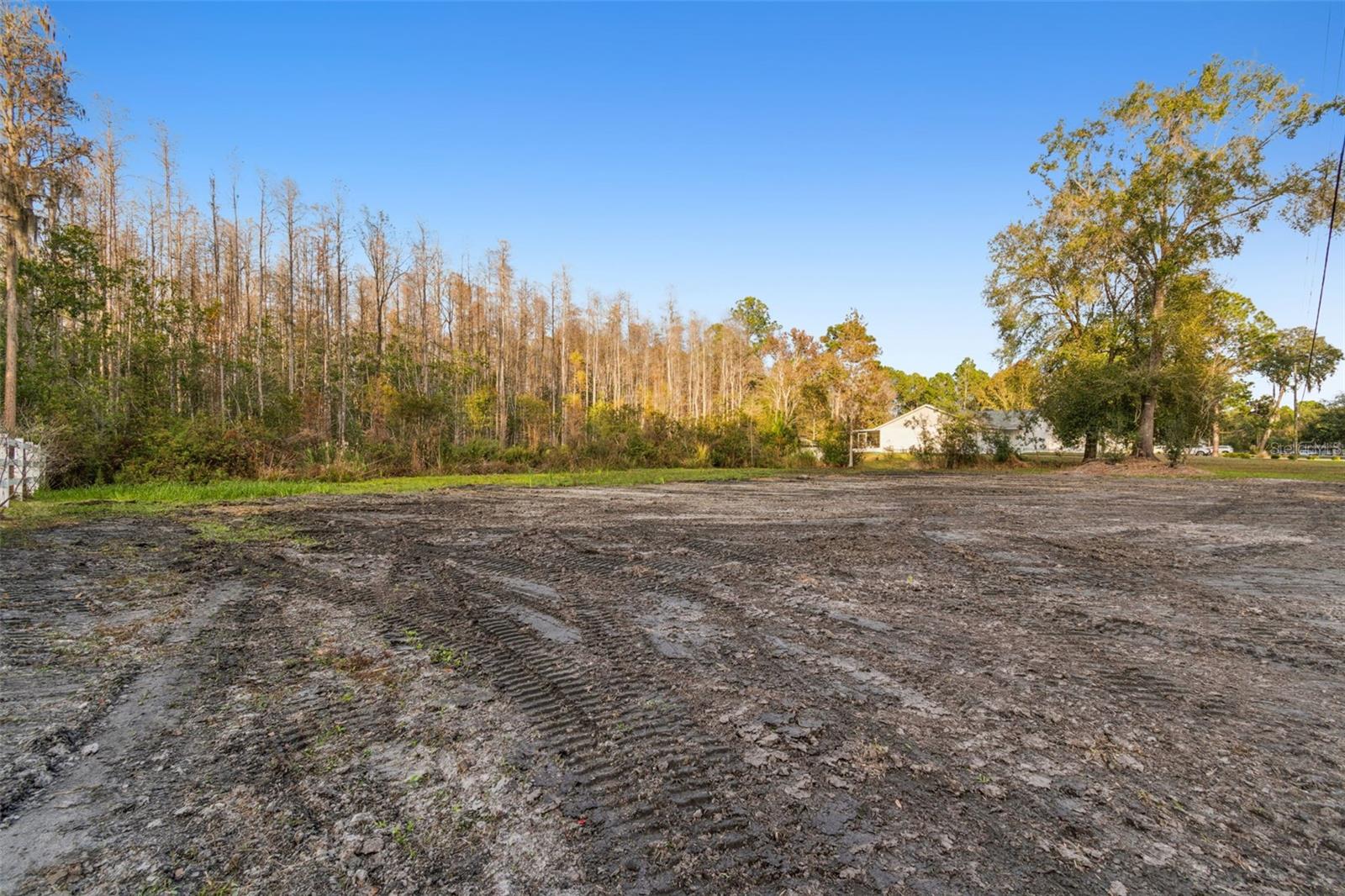26305 BLUESTRIPE DR, WESLEY CHAPEL, FL — photo 24