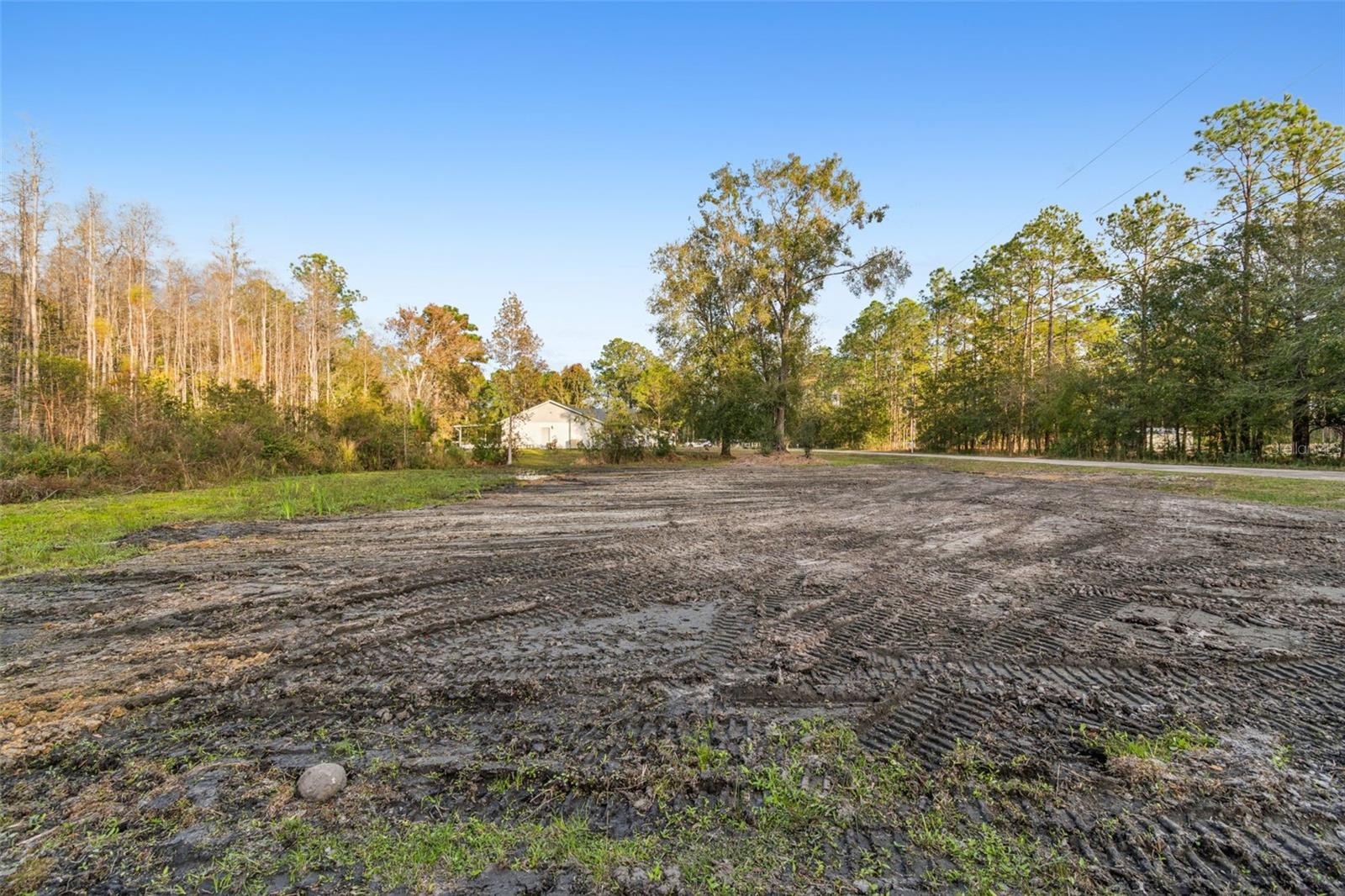 26305 BLUESTRIPE DR, WESLEY CHAPEL, FL — photo 25