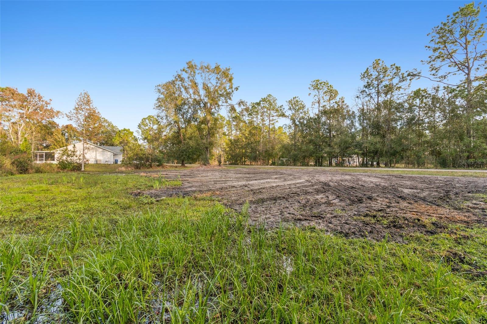 26305 BLUESTRIPE DR, WESLEY CHAPEL, FL — photo 26