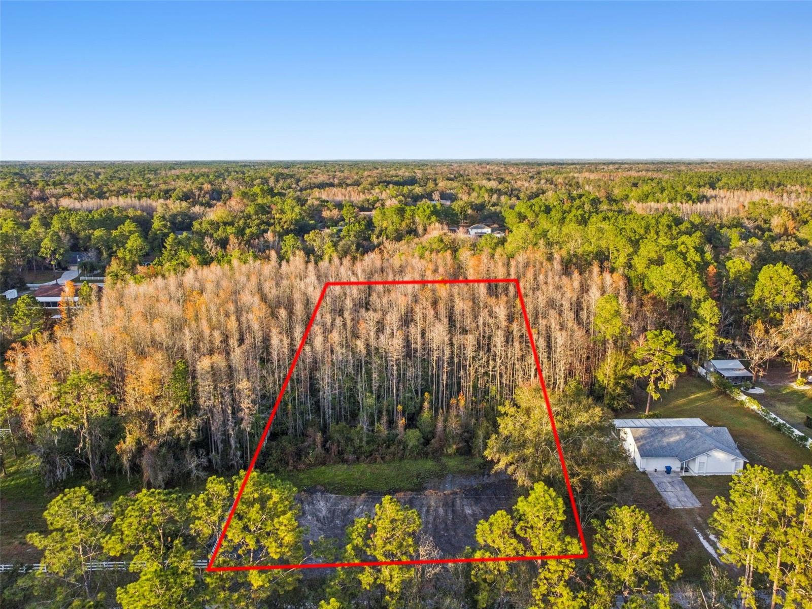 26305 BLUESTRIPE DR, WESLEY CHAPEL, FL — photo 29