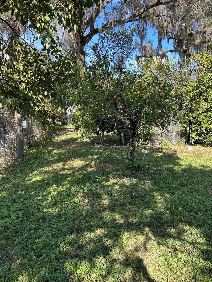 20621 SE HIGHWAY 42, UMATILLA, FL — photo 25